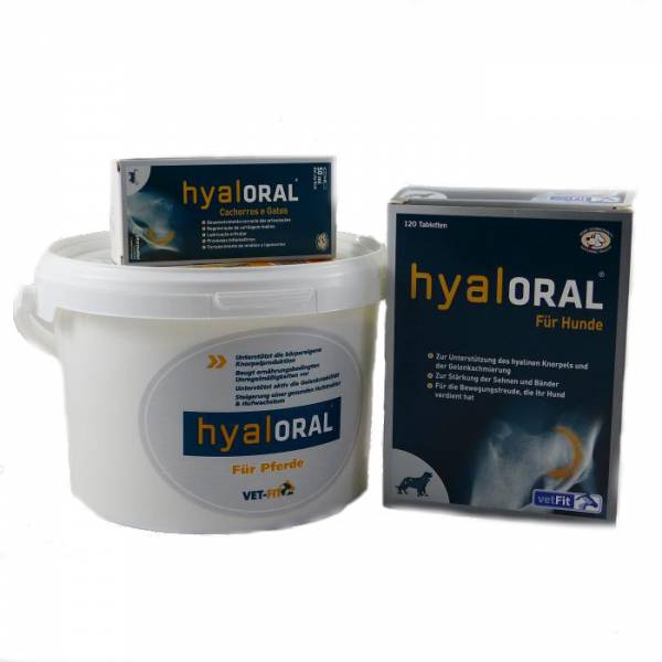 HyalOral für Pferde Hyaluronsäure ohne Spritze