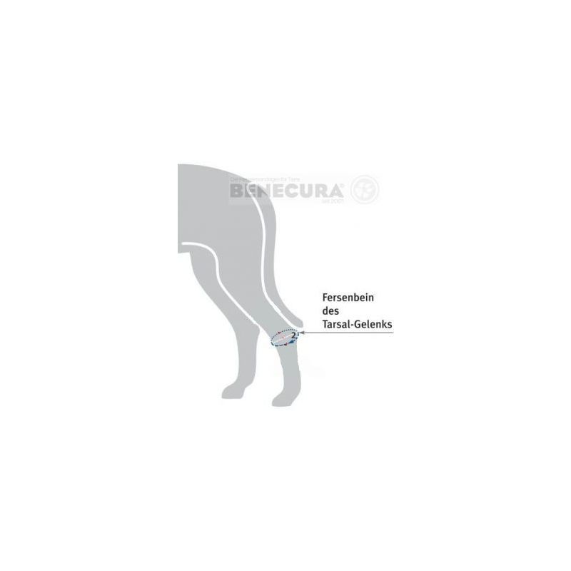 BENECURA®Tarsal-Gelenk-Bandage für Hunde 8 - 10 cm 135°