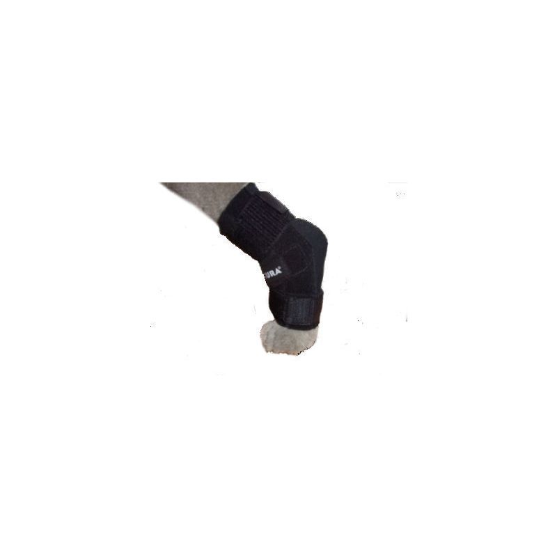 BENECURA®Tarsal-Gelenk-Bandage für Hunde 12 - 14 cm 165°