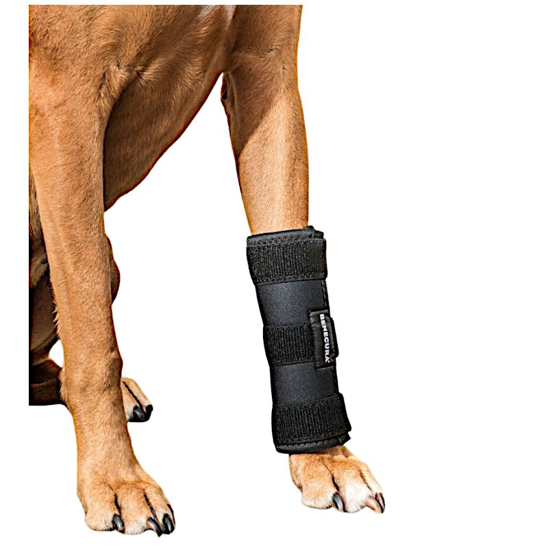 BENECURA® Karpal-Gelenkbandage für Hunde XL 15 - 18 cm normale Höhe