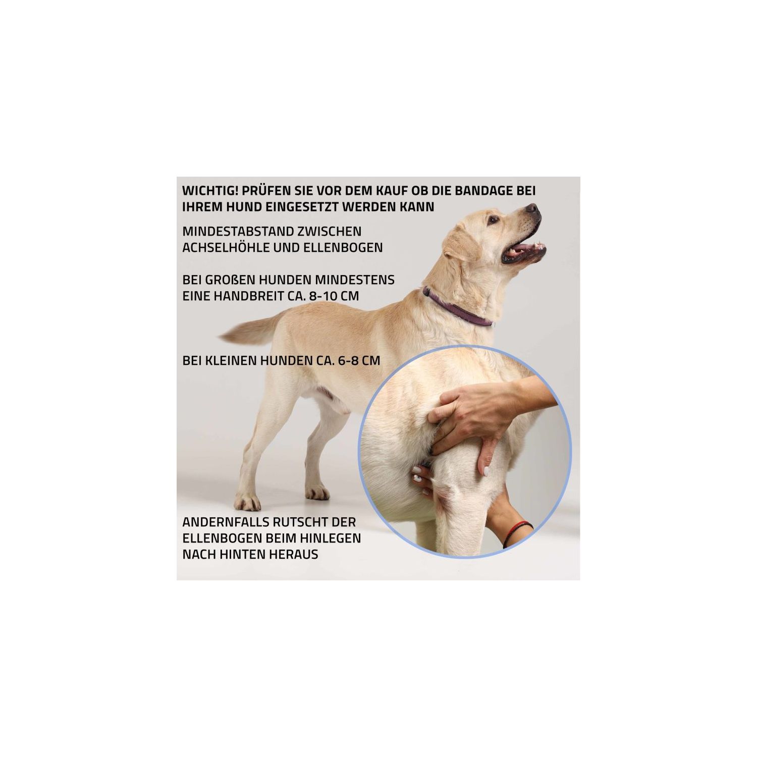 Hunde Bandagen 4 Rollen á 4,5 m, Breite 5 cm Verbandsmaterial für Hunde  Verband