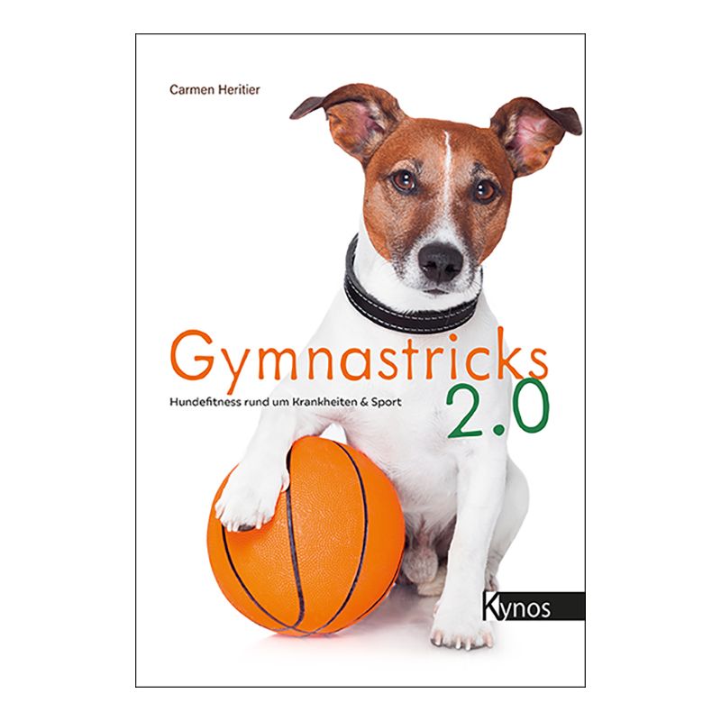 Gymnastricks 2.0