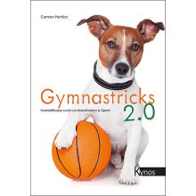 Gymnastricks 2.0